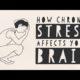 Chronische stress - Re-Minding Mindfulness