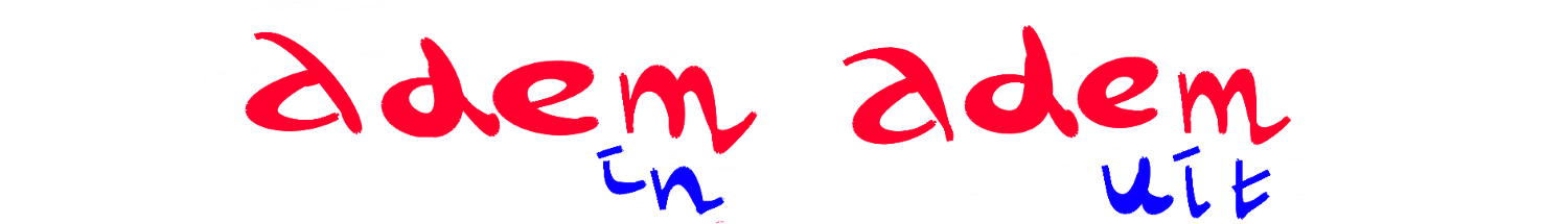 Re-Minding Mindfulness Training + Coaching