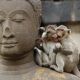 meditatie monkey mind - Re-Minding Mindfulness