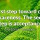Acceptatie - Kwaliteit 4 - Vreugde - Re-Minding MIndfulness Training + Coaching Utrecht