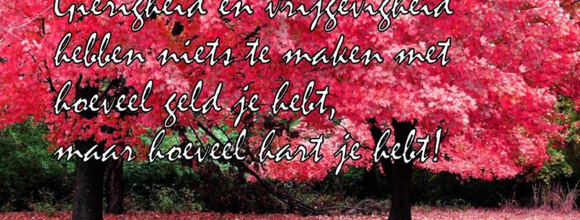 Generositeit - Kwaliteit 8 - Vreugde - Re-Minding MIndfulness Training + Coaching Utrecht