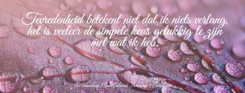 tevredenheid - Reminding Mindfulness Training + Coaching