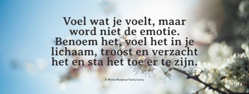 Moeilijke emoties hebben een boodschap - - Reminding Mindfulness Training + Coaching