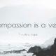 Compassion is a verb - Re-Minding Mindfulness Training + Coaching