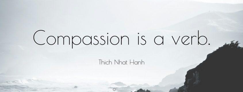 Compassion is a verb - Re-Minding Mindfulness Training + Coaching