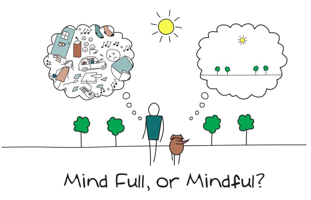 Mindfulness - Re-Minding Mindfulness Training + Coaching