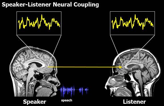 Hasson en zijn collega's gebruikten de hersenactiviteit van een sprekende persoon om de hersenactiviteit te voorspellen van een persoon die naar een opname van dat spraakfragment luistert. De analyse laat zien dat bij succesvolle communicatie (begrip) het brein van de luisteraar dezelfde activiteit laat zien als bij de spreker. Dit impliceert dat mensen elkaar begrijpen door elkaar hersenactiviteit te spiegelen. Afbeelding: Uri Hasson