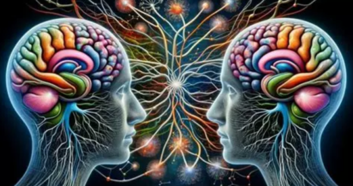 Neurobiologie van contact - Re-Minding Mindfulness Training + Coaching